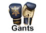 Gant muay Thai