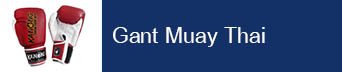 gant de Muay Thai